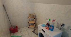 Odlična kuća – 220kvm+2ara