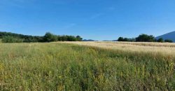 Boljevac, Rtanj – Valakonje 1ha 3a 35kvm