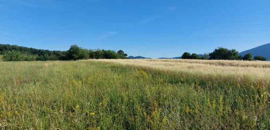 Boljevac, Rtanj – Valakonje 1ha 3a 35kvm