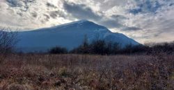 Boljevac, Rtanj – Mirovo 1ha 2a