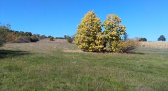Rtanj-Bačevica 2ha 58a 94kvm