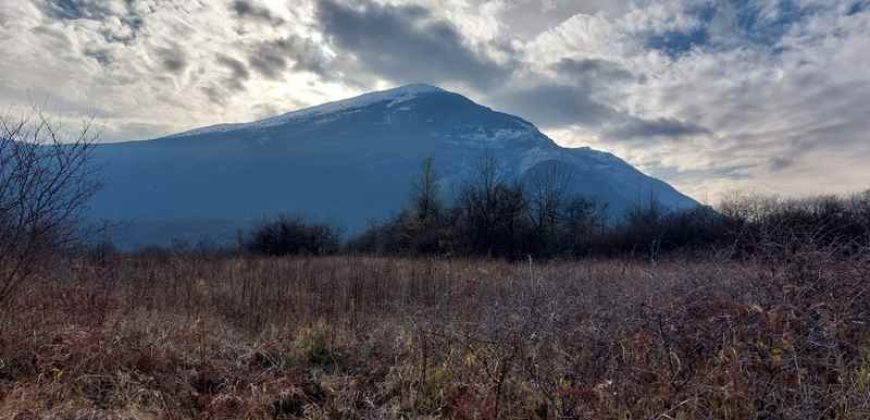 Boljevac, Rtanj – Mirovo 1ha 2a