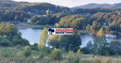 Borsko jezero – 250kvm + 17a 42kvm