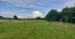 Boljevac, Rtanj – Mirovo 29a 91kvm