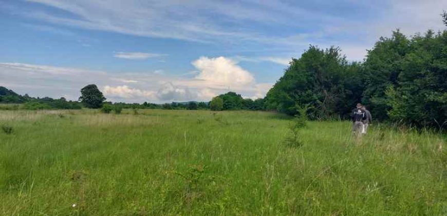 Boljevac, Rtanj – Mirovo 29a 91kvm