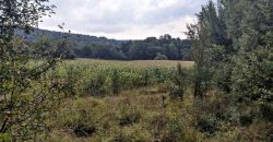 Boljevac, Rtanj – Jablanica 1ha 28ari i 82kvm