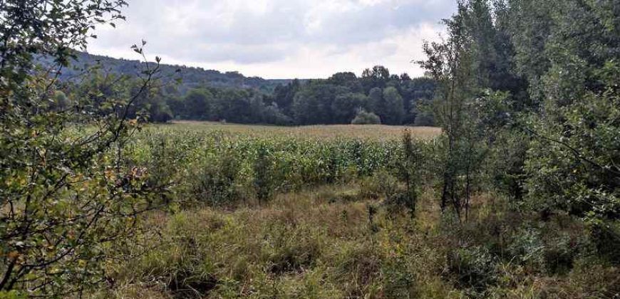 Boljevac, Rtanj – Jablanica 1ha 28ari i 82kvm