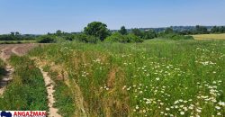 Barajevo – Veliki borak 1ha 60ari 52kvm