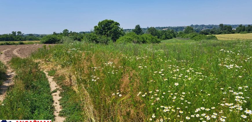 Barajevo – Veliki borak 1ha 60ari 52kvm
