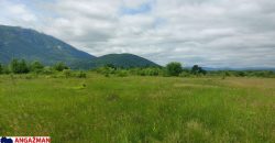 Boljevac, Rtanj – Mirovo 67,98ari