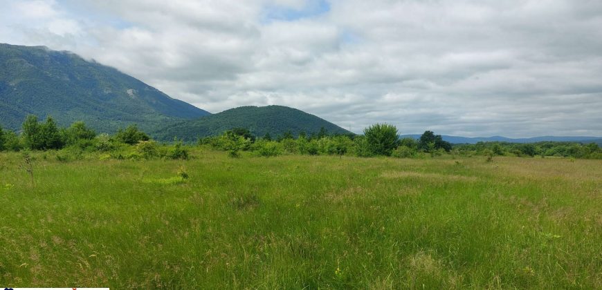 Boljevac, Rtanj – Mirovo 67,98ari