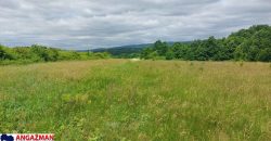 Boljevac, Rtanj – Mirovo 65,32ara