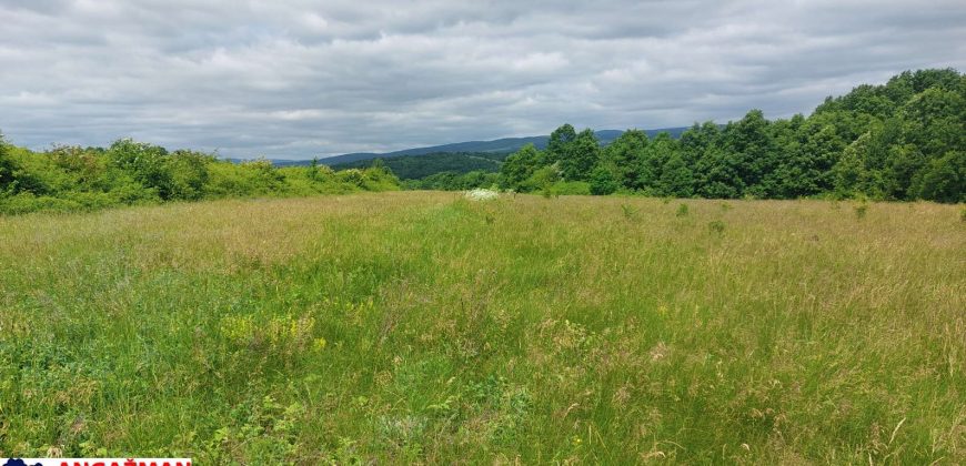 Boljevac, Rtanj – Mirovo 65,32ara