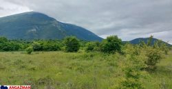 Boljevac, Rtanj – Mirovo 38,82ara