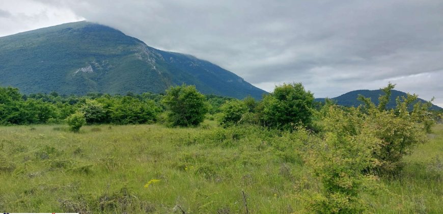 Boljevac, Rtanj – Mirovo 38,82ara