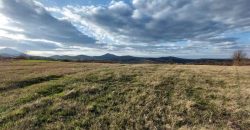 Rtanj – Bačevica 54kvm + 11ha 44a 30kvm