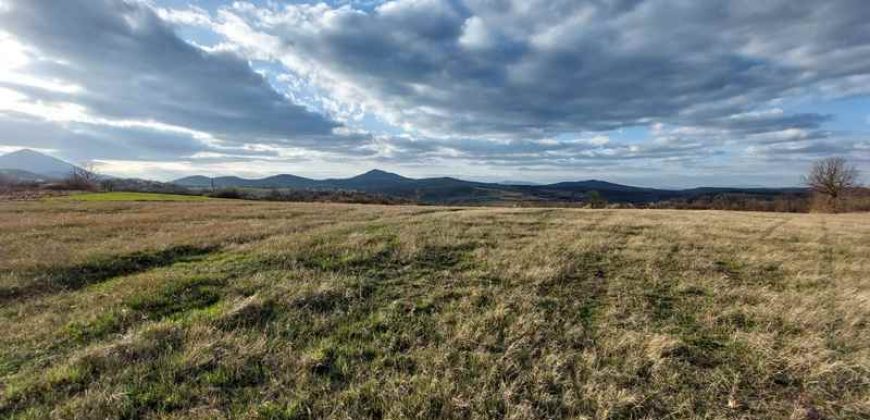 Rtanj – Bačevica 54kvm + 11ha 44a 30kvm