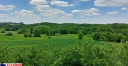 Sopot – Popović 1ha 2a 10kvm