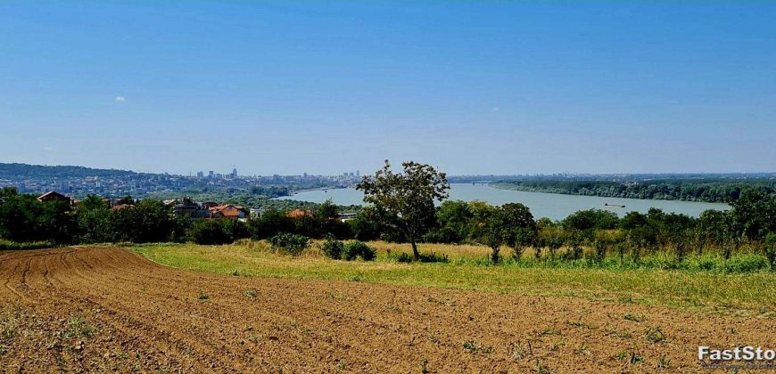 Višnjica – 40,90ari