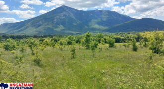 Boljevac, Rtanj – Mirovo 2ha 70ari 67kvm