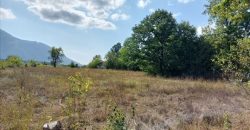 Parcele sa starom kućom 2ha7a31kvm