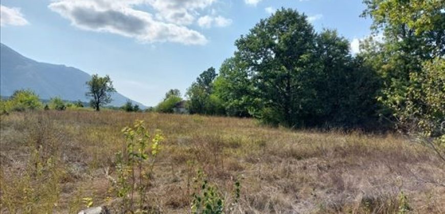 Parcele sa starom kućom 2ha7a31kvm