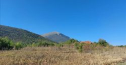 Ilino-dve parcele pov 1ha 43a 78kvm