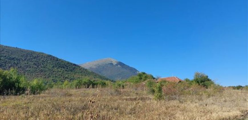 Ilino-dve parcele pov 1ha 43a 78kvm