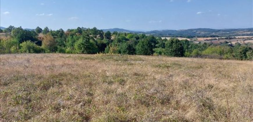 Bačevica-Lasovski del 6ha 96a 47kvm