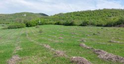 Zaječar – Gornja bela reka 3ha 23a 86kvm