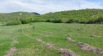 Zaječar – Gornja bela reka 3ha 23a 86kvm