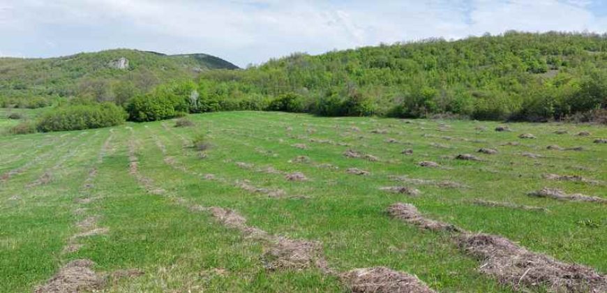 Zaječar – Gornja bela reka 3ha 23a 86kvm