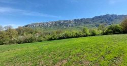 Zaječar – Lasovo 5ha 46a 76kvm