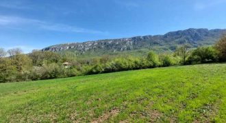 Zaječar – Lasovo 5ha 46a 76kvm