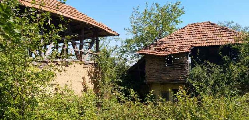 Boljevac, Rtanj – Osnić 85,51Ara