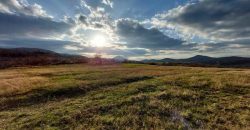 Rtanj – Bačevica 54kvm + 11ha 44a 30kvm