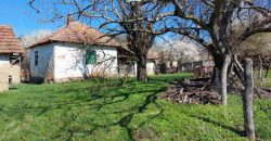 Rtanj – Dobro polje 39kvm+22kvm+29kvm + 13,22a