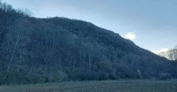 Boljevac, Rtanj – Jablanica 4ha 65a 51kvm