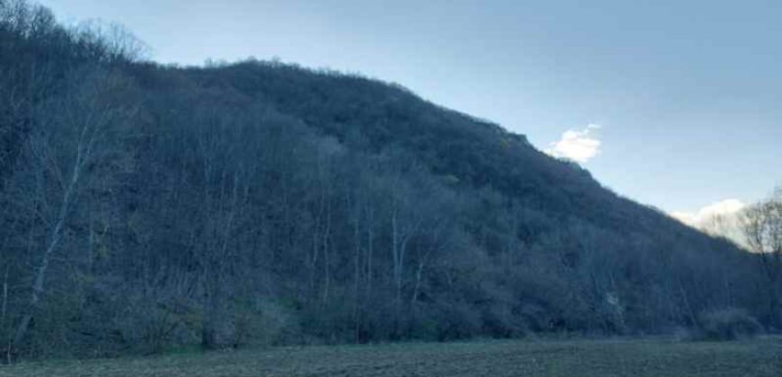 Boljevac, Rtanj – Jablanica 4ha 65a 51kvm