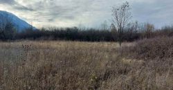 Boljevac, Rtanj – Mirovo 1ha 2a