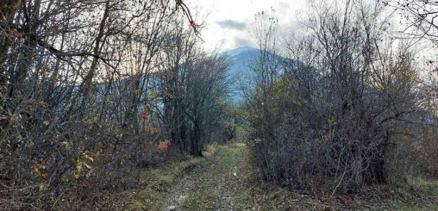 Boljevac, Rtanj – Mirovo 14ari 99kvm