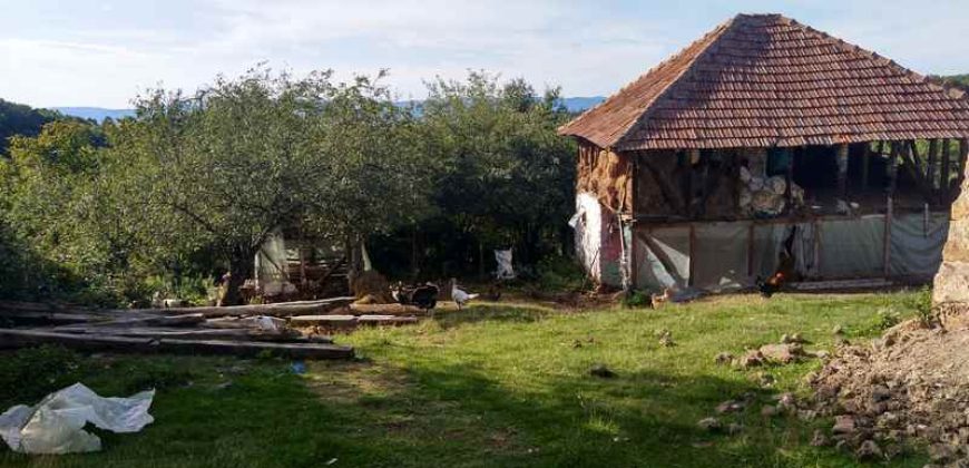 Boljevac, Rtanj – Valakonje 94kvm +7ha 58a 63kvm