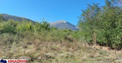 Rtanj-Ilino 44a 10kvm