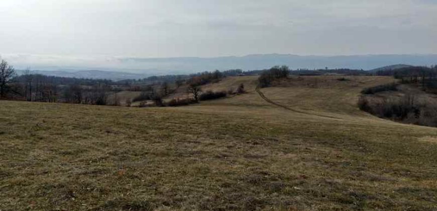 Boljevac, Valakonje – Bukovo 407,53ari