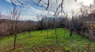 Rtanj – Jablanica 10a+42kvm stara kuća