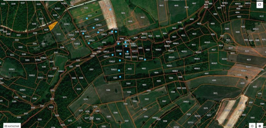 Boljevac, Rtanj – Bačevica 3ha 39a 60kvm