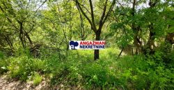 Sokobanja – Šarbanovac 34,44a