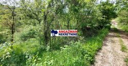 Sokobanja – Šarbanovac 34,44a