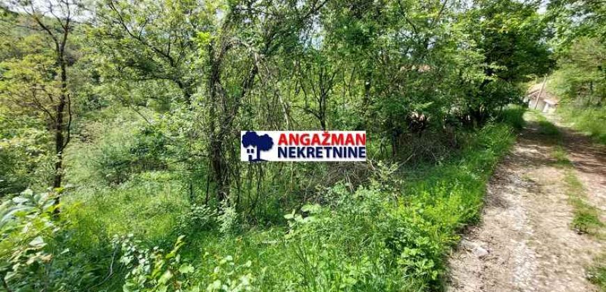 Sokobanja – Šarbanovac 34,44a