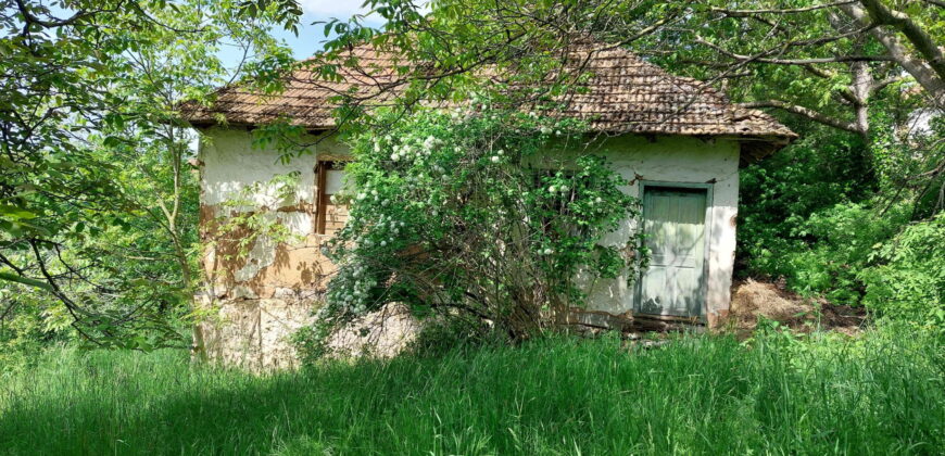 Sokobanja – Šarbanovac 62kvm